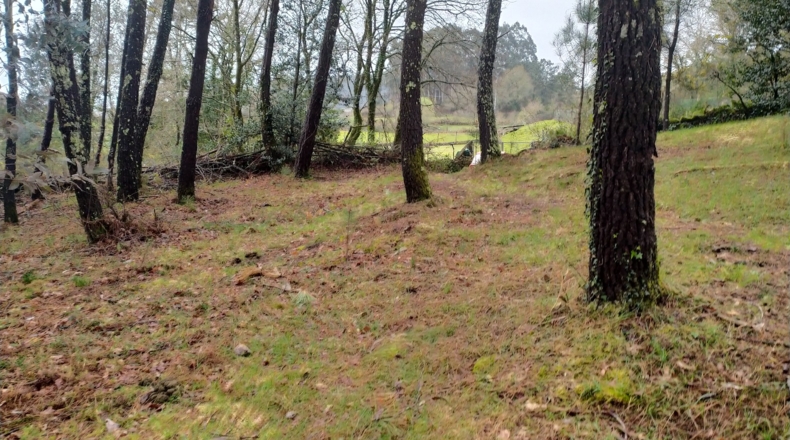 Pontevedra - Chacente - 5040m2