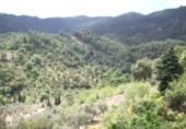 Terreny en venda a la Sendero Laguna Grande, Màlaga, ref.: TR72563 foto