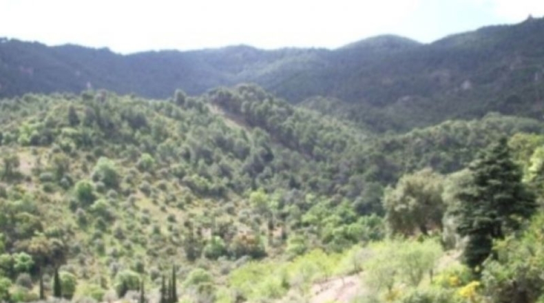 Málaga - Málaga - 40000m2
