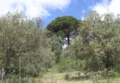 Terreny en venda a la Sendero Laguna Grande, Màlaga, ref.: TR72563 foto