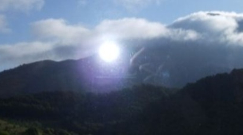 Málaga - Málaga - 40000m2