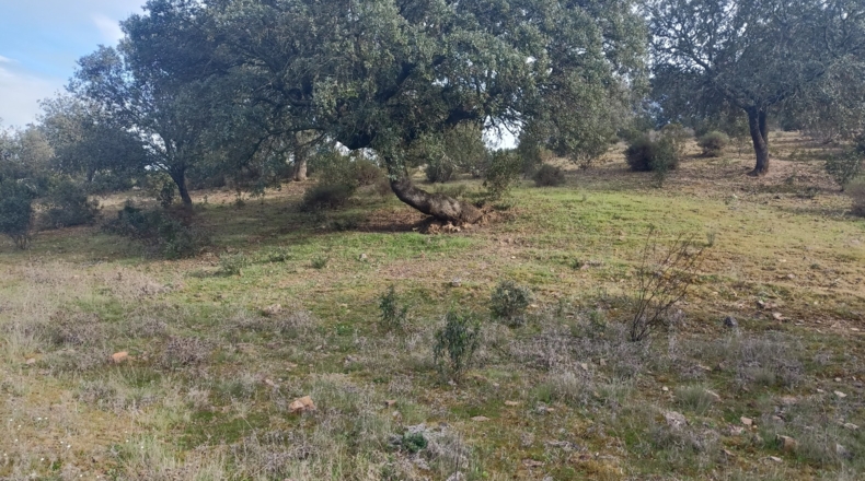 Badajoz - Fuenlabrada de los Montes - 500000m2
