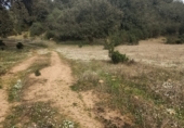 Terreny no urbanitzable en venda a la Camino vecinal, Fuenlabrada de los Montes, ref.: TR72551 foto