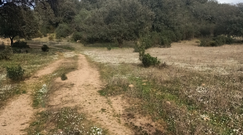 Badajoz - Fuenlabrada de los Montes - 500000m2