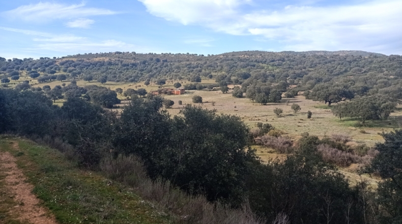 Badajoz - Fuenlabrada de los Montes - 500000m2
