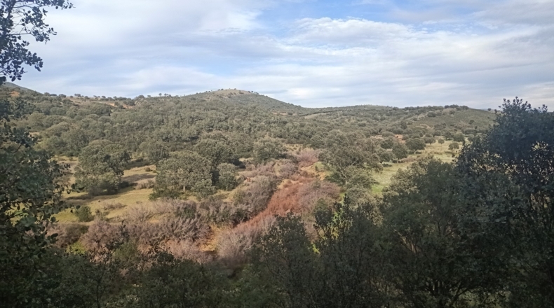Badajoz - Fuenlabrada de los Montes - 500000m2