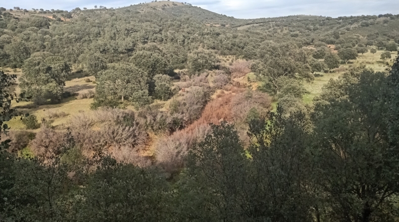 Badajoz - Fuenlabrada de los Montes - 500000m2