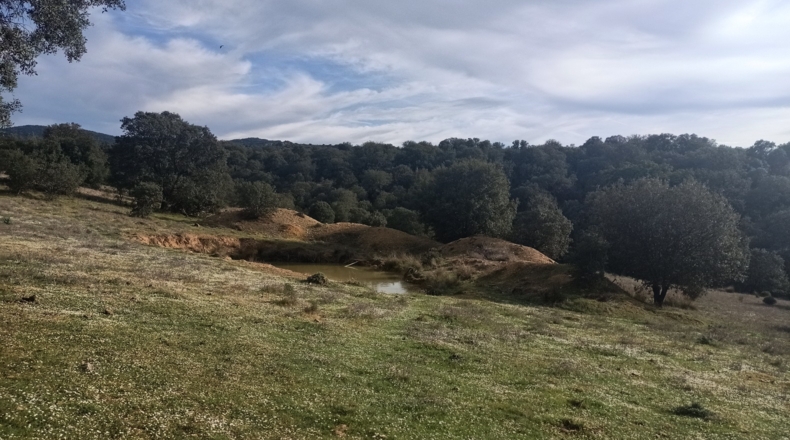 Badajoz - Fuenlabrada de los Montes - 500000m2