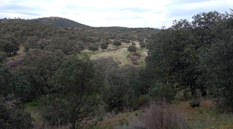 Badajoz - Fuenlabrada de los Montes - 500000m2