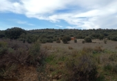 Terreny no urbanitzable en venda a la Camino vecinal, Fuenlabrada de los Montes, ref.: TR72551 foto