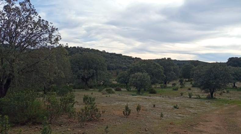 Badajoz - Fuenlabrada de los Montes - 500000m2