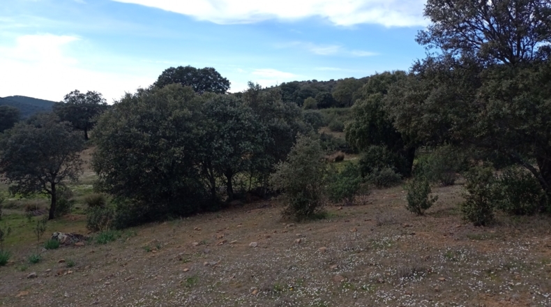 Badajoz - Fuenlabrada de los Montes - 500000m2