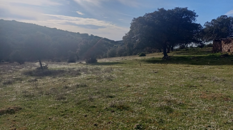 Badajoz - Fuenlabrada de los Montes - 500000m2