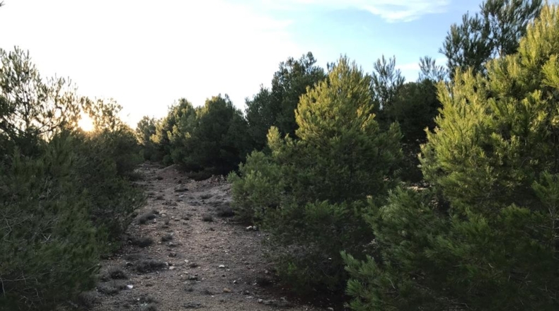 Toledo - Ocaña - 150000m2