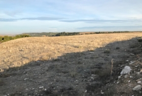 Оканья 150000&nbsp;м²