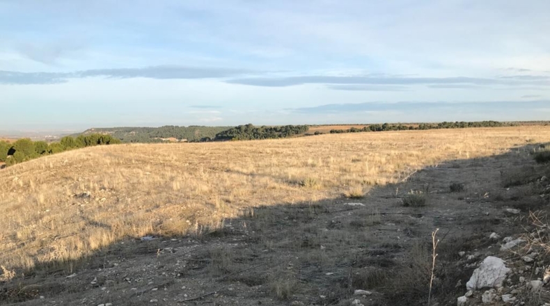 Toledo - Ocaña - 150000m2