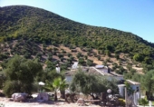 Casa de campo con terreno en venta en la Zahara de la Sierra, Zahara, ref: TR72585 foto