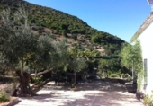 Casa de campo con terreno en venta en la Zahara de la Sierra, Zahara, ref: TR72585 foto