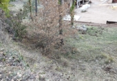 Suelo urbano en venta en la Carrer Collsuspina 477, Muntanyola, ref: TR72590 foto
