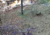 Suelo urbano en venta en la Carrer Collsuspina 477, Muntanyola, ref: TR72590 foto