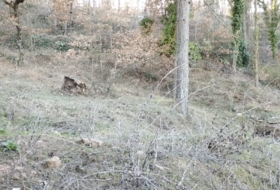Foto 15