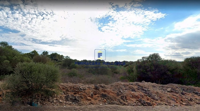 Islas Baleares - Manacor - 820m2