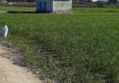 Non-developable land for sale on Huerta Palacios, Lorquí, ref: TR72604 photo