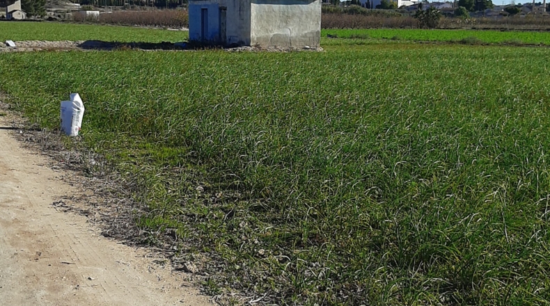 Murcia - Lorquí - 22139m2