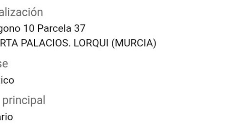 Murcia - Lorquí - 22139m2