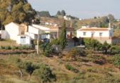 Casa de camp amb terreny en venda a la Gibralgalía, ref.: TR72609 foto