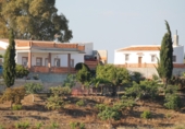 Casa de camp amb terreny en venda a la Gibralgalía, ref.: TR72609 foto