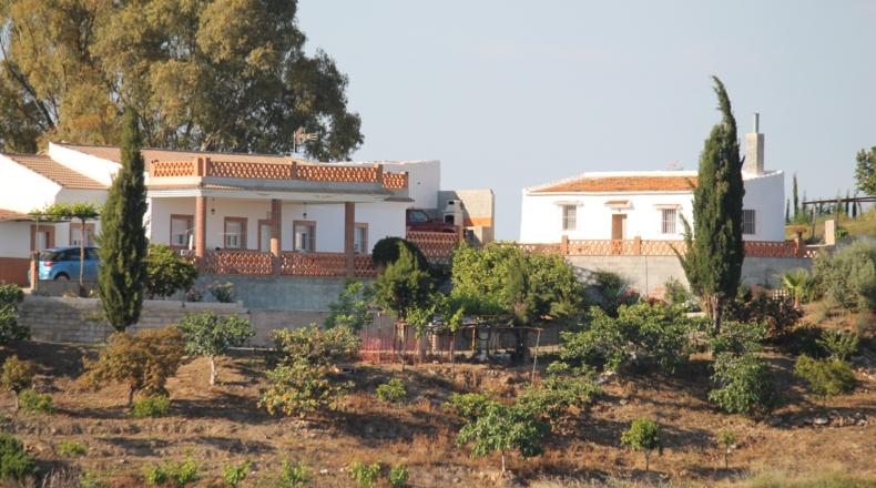 Málaga - Gibralgalía - 48000m2
