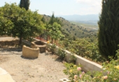 Casa de camp amb terreny en venda a la Gibralgalía, ref.: TR72609 foto