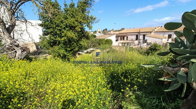 Islas Baleares - Llubí - 272m2