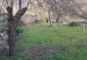 Casa de poble en venda a la Calle Mayor, Viana del Bollo, ref.: TR72616 foto