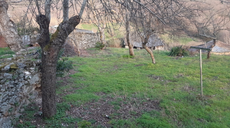 Orense - Viana do Bolo - 500m2