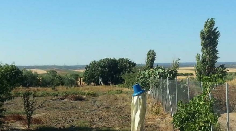 Huelva - La Palma del Condado - 145m2