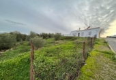 Parcel·la urbanitzable en venda a la CL Maestre Fernando Osores 29, Calera de León, ref.: TR72644 foto