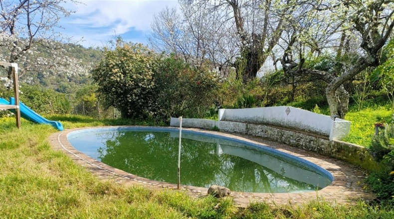 Málaga - Benalauría - 7415m2