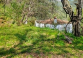 Casa de camp amb terreny en venda a la Benalauría, ref.: TR72641 foto