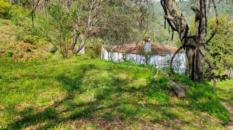 Málaga - Benalauría - 7415m2