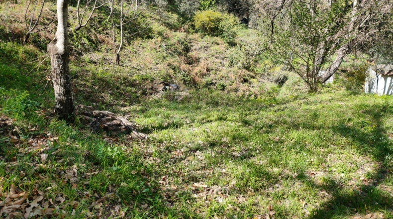 Málaga - Benalauría - 7415m2