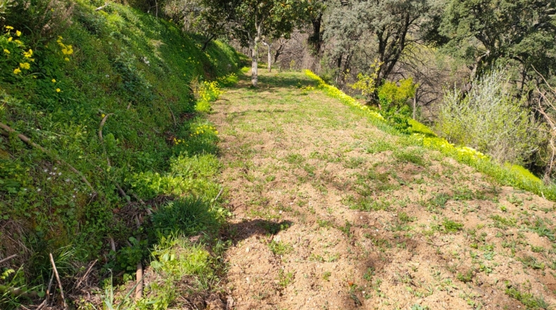 Málaga - Benalauría - 7415m2