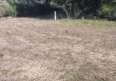 Non-developable land for sale on M-543, Cenicientos, ref: TR72648 photo