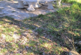 Cenicientos 4400&nbsp;m² 