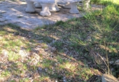 Non-developable land for sale on M-543, Cenicientos, ref: TR72648 photo