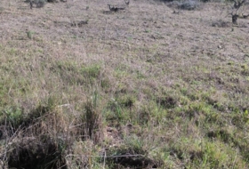 Cenicientos 4400&nbsp;m² 