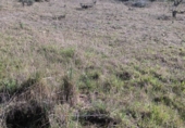 Non-developable land for sale on M-543, Cenicientos, ref: TR72648 photo
