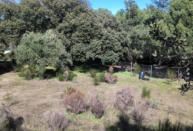 Cenicientos 4400&nbsp;m² 