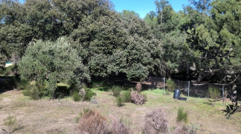 Comunidad de Madrid - Cenicientos - 4400m2